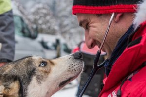 chien vétérinaire LGO